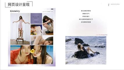 溫州大學(xué)美術(shù)與設(shè)計學(xué)院2018級視覺傳達(dá)設(shè)計專業(yè)《品牌設(shè)計